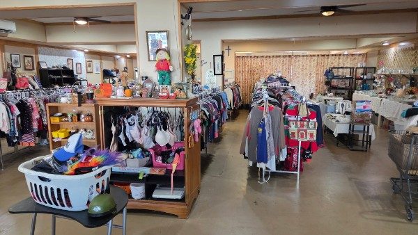 Photo of Thrift & More LLC